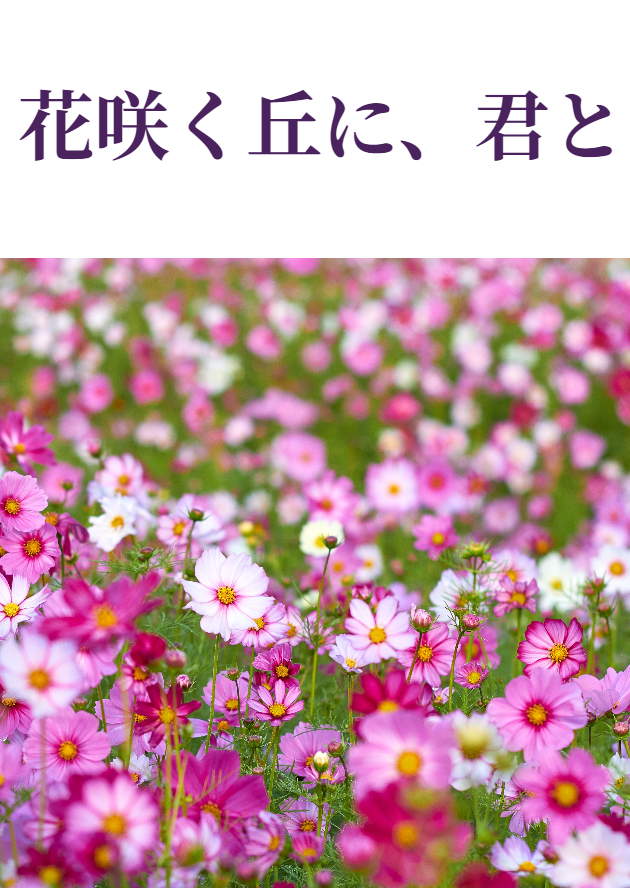 イラスト、写真