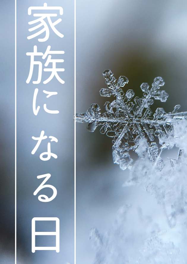 イラスト、写真
